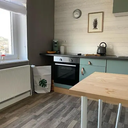 Apartmán Si.-oberstadt Ruhig & Gemuetlich Siegen